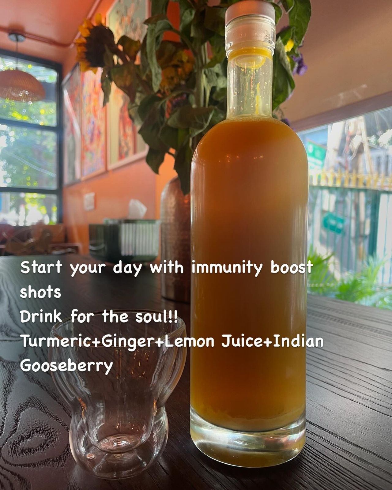 Turmeric Ginger Lemon juice Indian Gooseberry